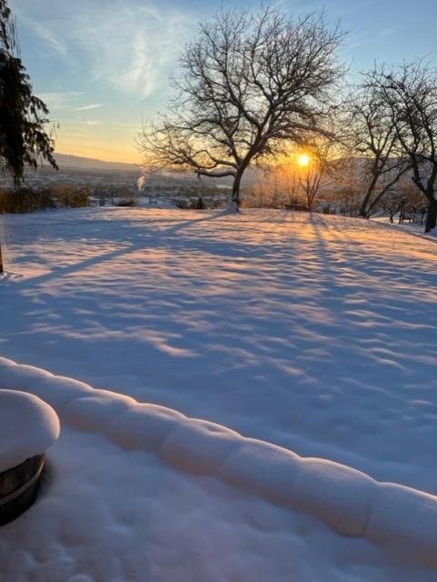 La Quinta Inn & Suites By Wyndham Wenatchee Bagian luar foto